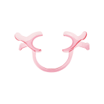 Cheek Retractor Anglewider Wide 2 ea